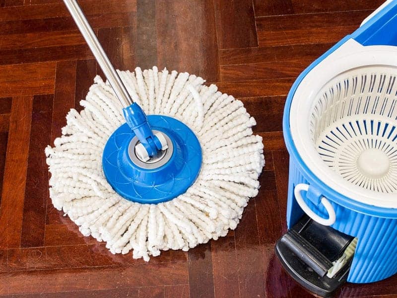 Top 15 Best Spin Mops to Buy with Reviews in 2020 MToClean