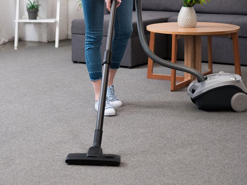 Canister Vacuum Cleaner