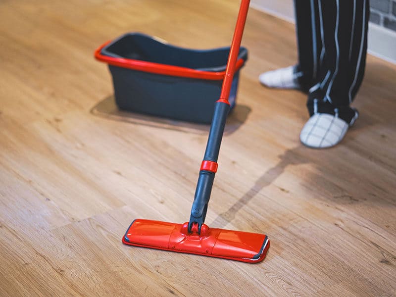 Mops for Hardwood Floors