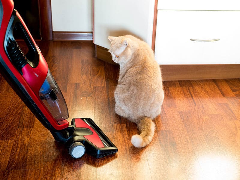 Vacuums for Hardwood Floors and Pet Hairs