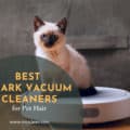 Best Shark Vacuum Cleaners for Pet Hair