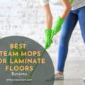 Best Steam Mops For Laminate Floors