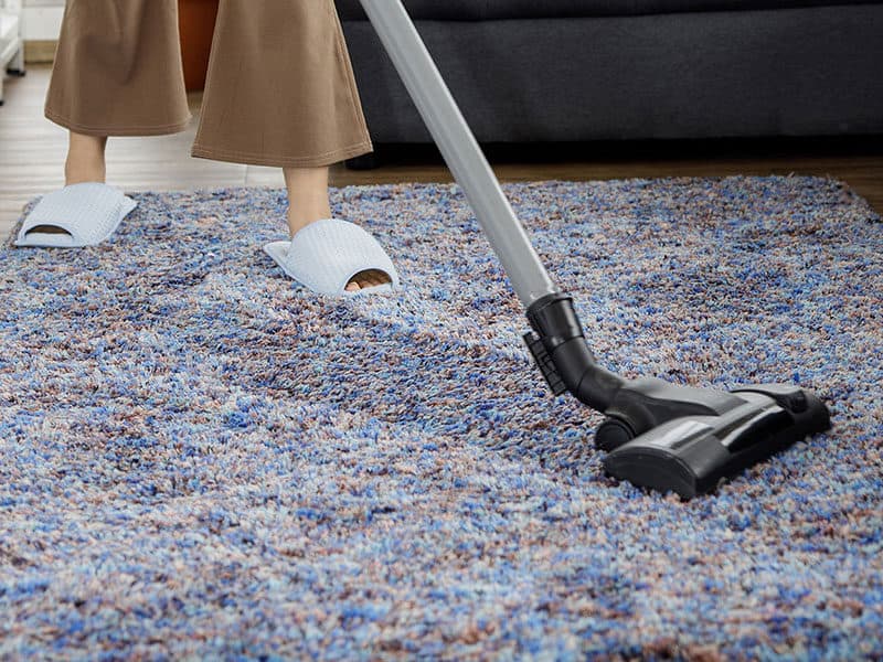 Portable Spot Cleaners for Carpet Stains