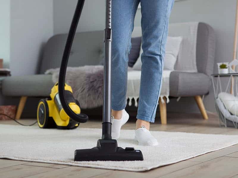 Portable Spot Cleaners For Carpet Stain