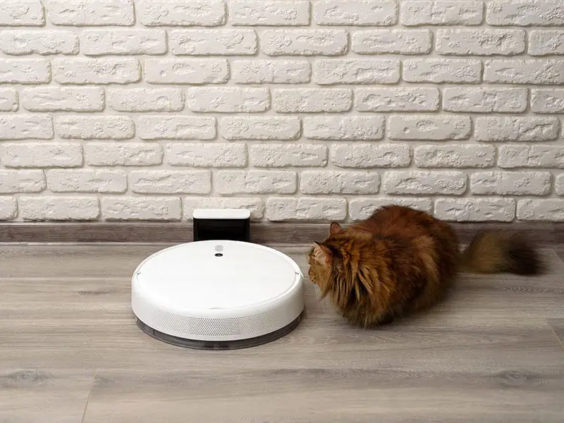 Top 14 Best Roomba for Hardwood Floors To Buy 2023