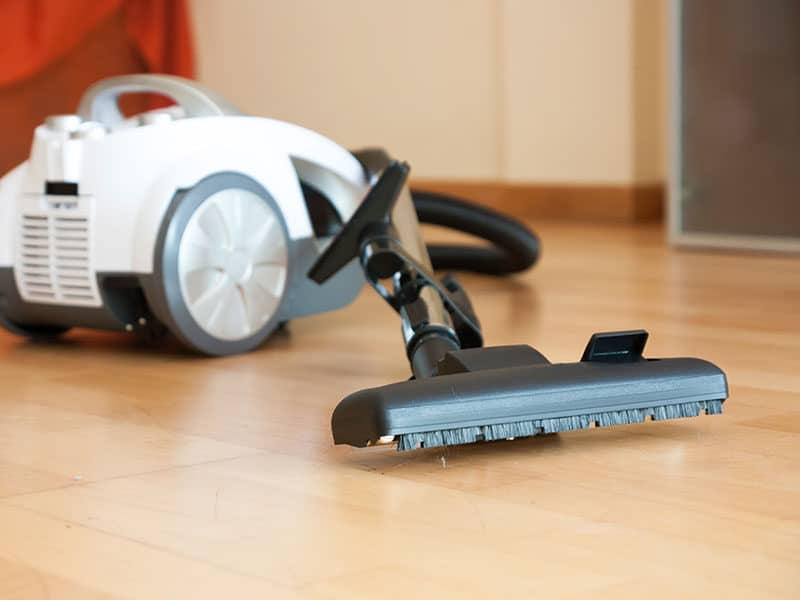 Vacuum for Vinyl Plank Floors