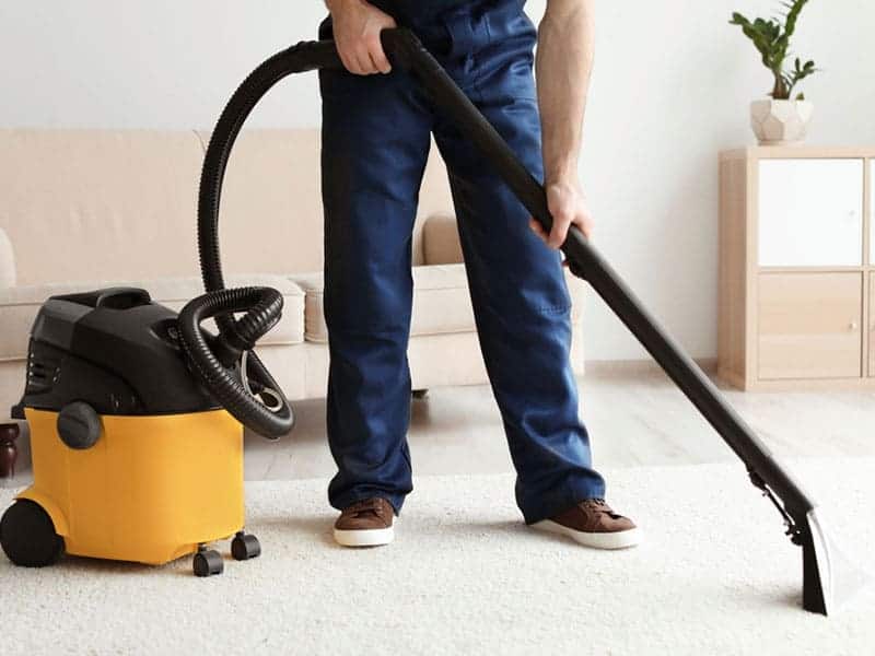 Top 15 Best Wet/Dry Vacuum Cleaner Reviews in 2020