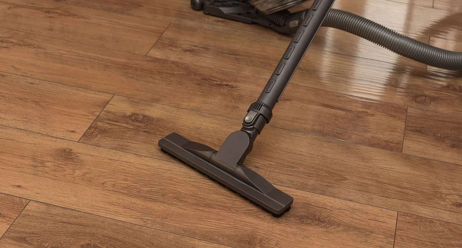 Best Canister Vacuum For Carpet And Hardwood Floors Floor Roma