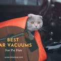 Best Car Vacuum For Pet Hair