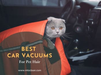 Best Car Vacuum For Pet Hair