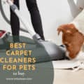 Best Carpet Cleaner For Pets