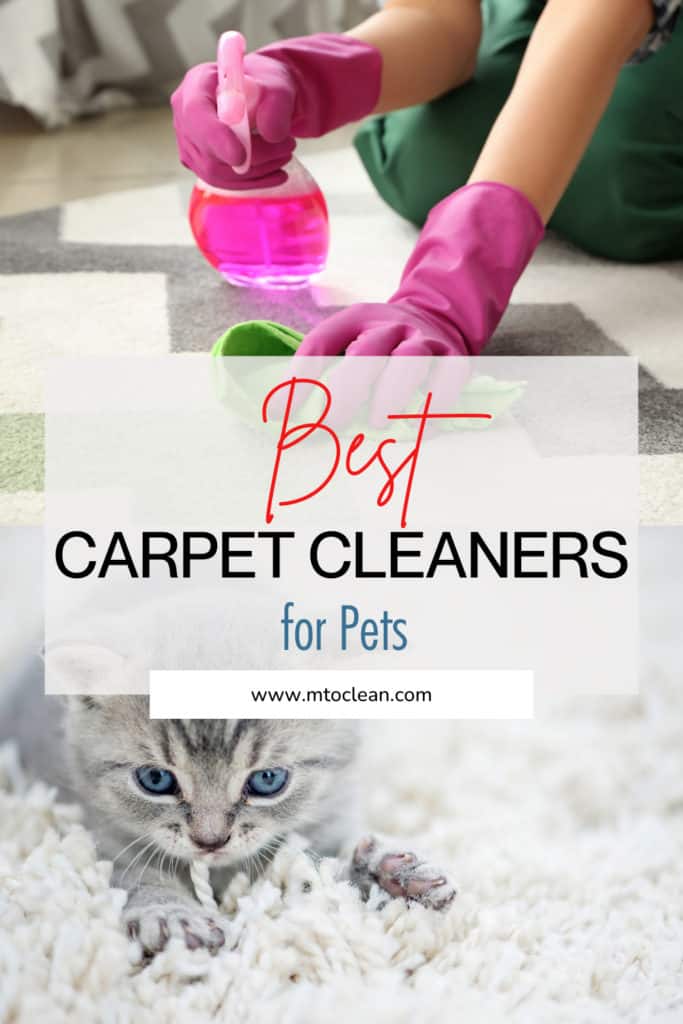 Best Carpet Cleaner For Pets