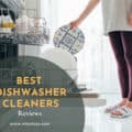 Best Dishwasher Cleaners
