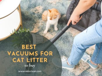 Best Vacuums For Cat Litter