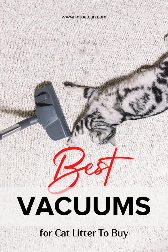 Best Vacuums For Cat Litter