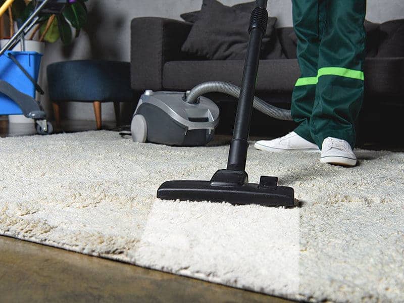 Commercial Carpet Cleaner 