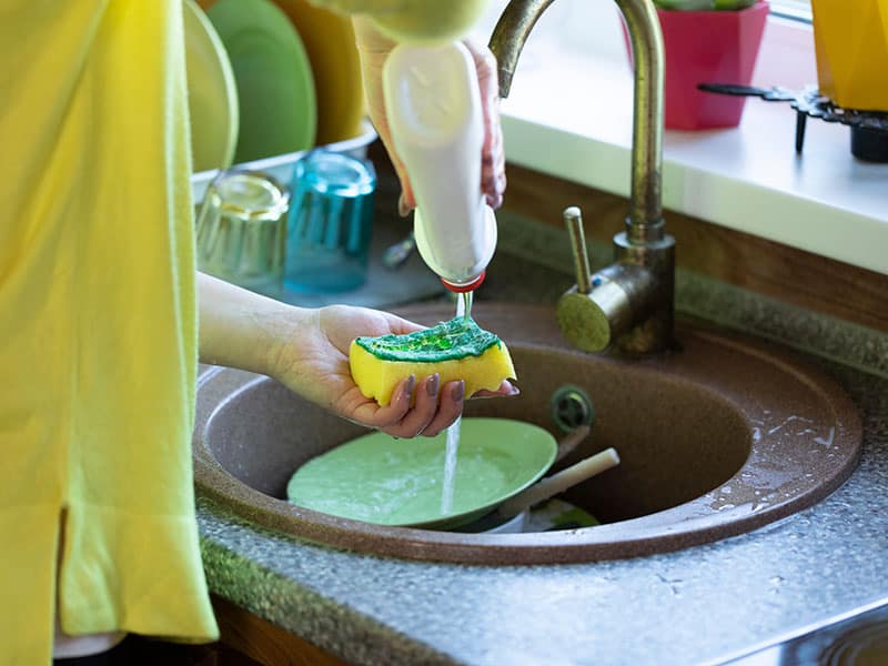 Top 15 Best Dishwasher Cleaners To Buy with Reviews 2023