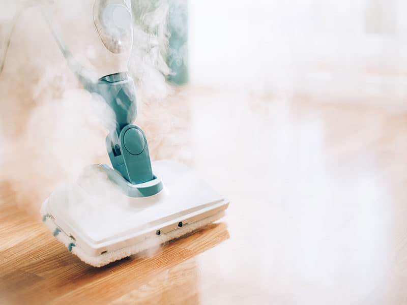 Multi-Purpose Steamer Cleaner