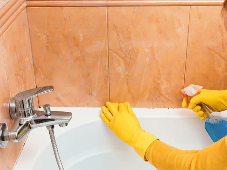 Top 15 Best Shower Tile Cleaners To Buy in 2023 Reviews