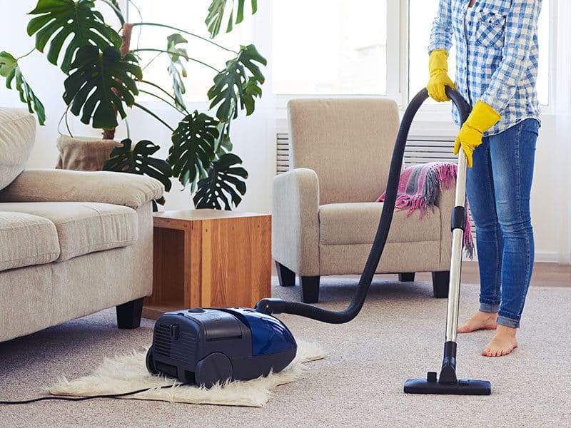 Upholstery Steam Cleaner 