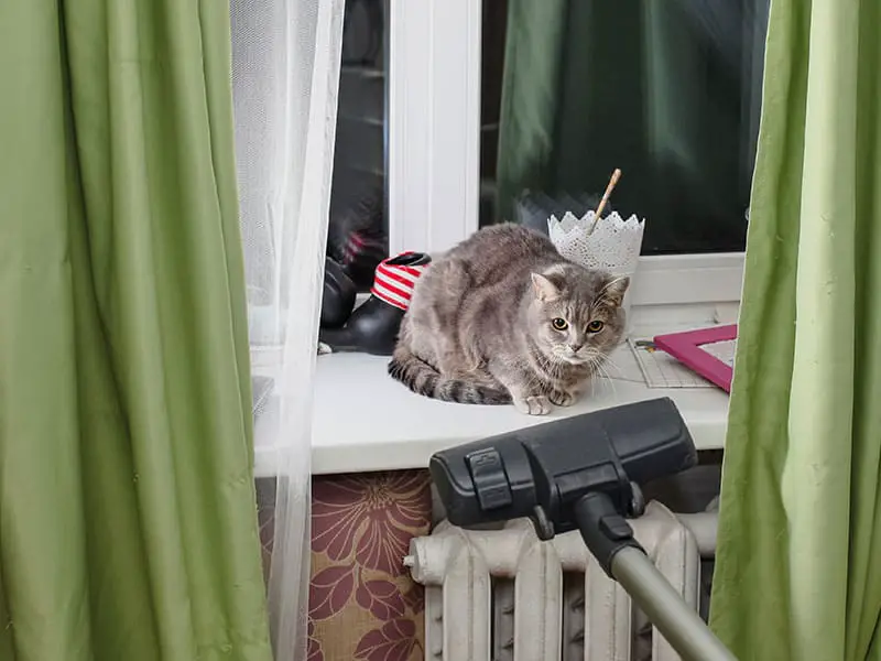 Top 17 Best Vacuums for Cat Litter To Buy in 2023 Reviews