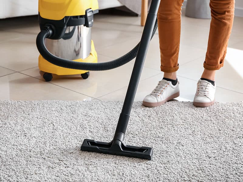 Vacuums for Berber Carpet