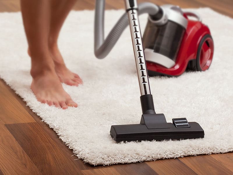 Vacuums for Berber Carpets