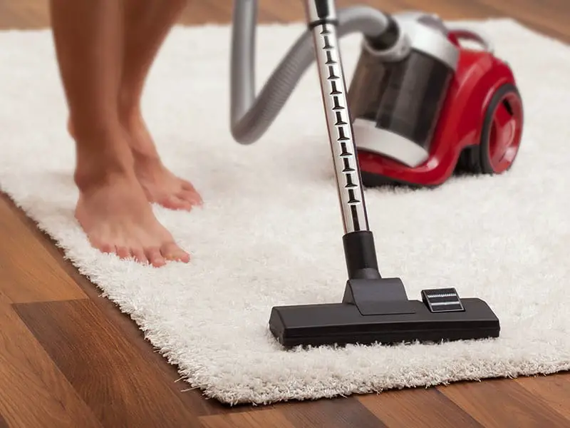 Top 20 Best Vacuums for Berber Carpets to Buy in 2023 Reviews