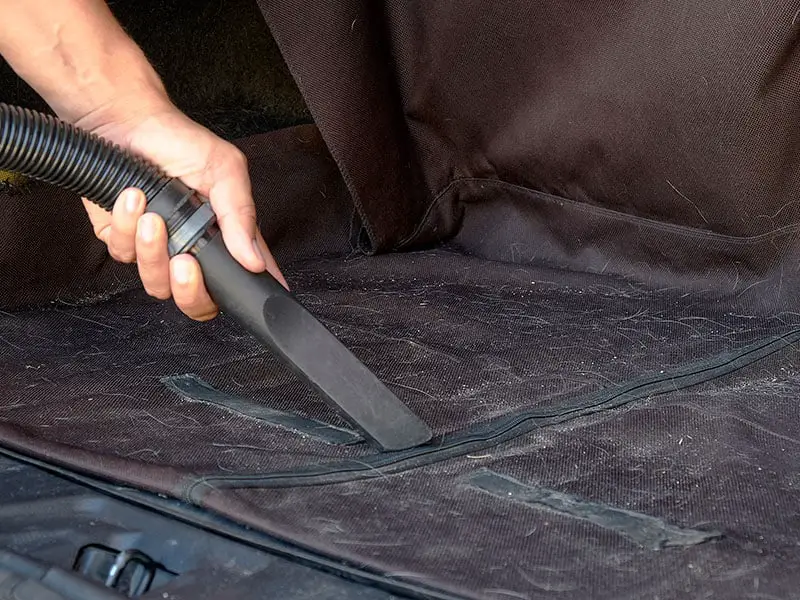 The 16 Best Vacuums for Soft Carpet To Buy 2023 Reviews