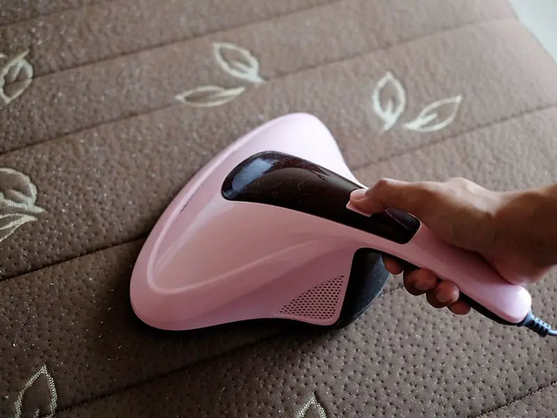 Top 15 Best Vacuums for Bed Bugs in 2023