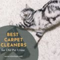 Best Carpet Cleaners For Old Pet Urine