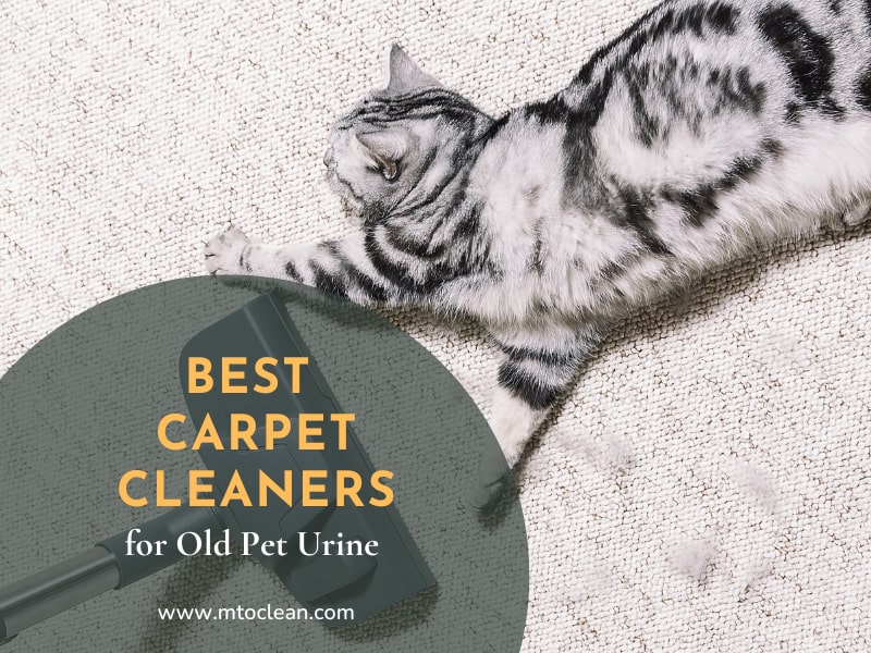 Best Carpet Cleaners For Old Pet Urine