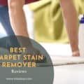 Best Carpet Stain Removers