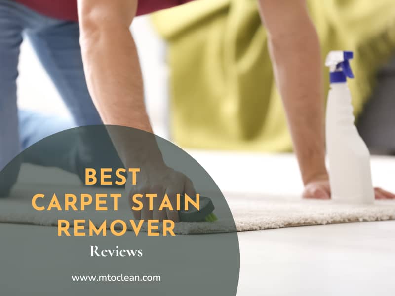 Stain Removal AZ The Complete Guide 2022