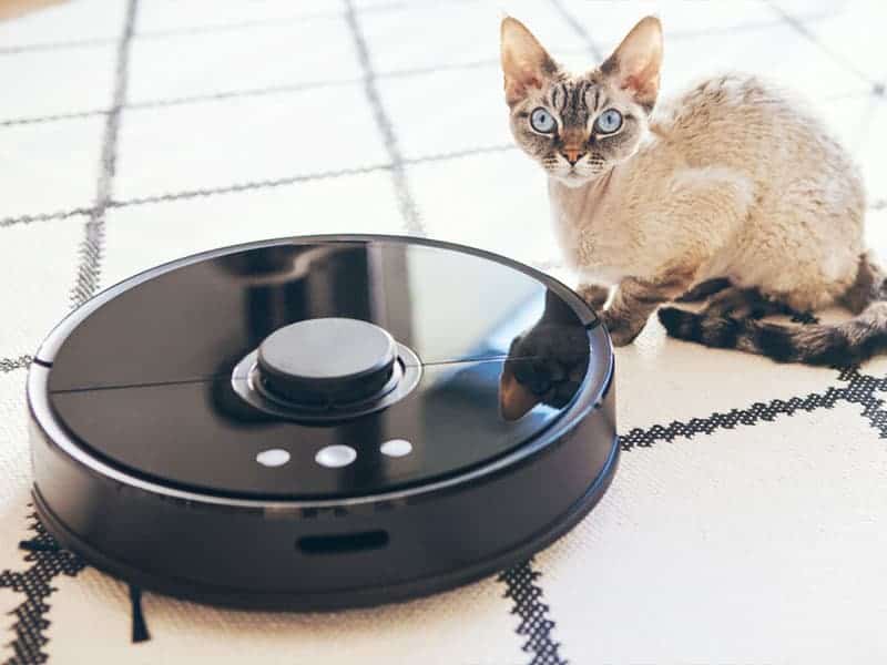 Top 15 Best Quiet Vacuum Cleaners On The Market 2021