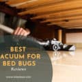 Best Vacuums For Bed Bugs
