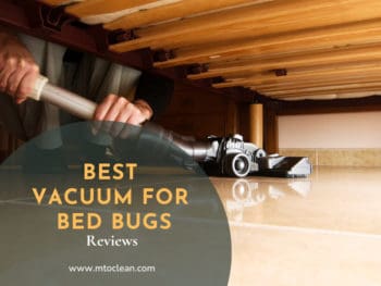 Best Vacuums For Bed Bugs