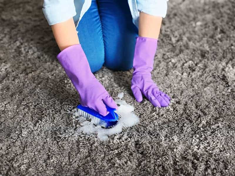 Carpet Cleaners For Old Pet Urine