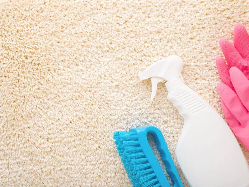 Carpet Stain Removers