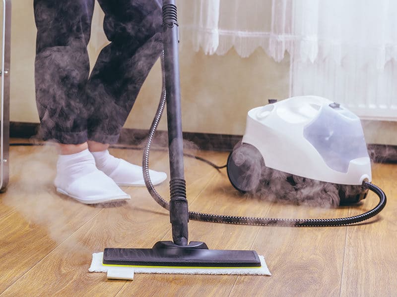  Floor Steam Cleaner