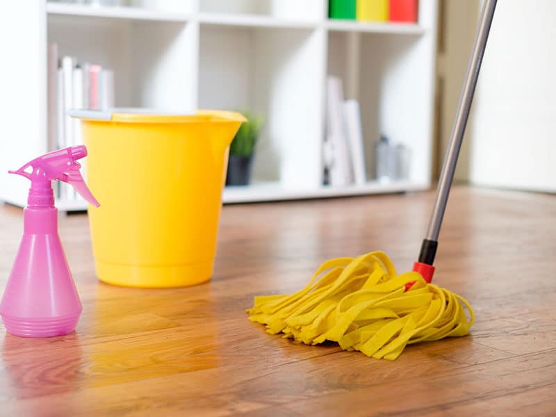  Laminate Floor Cleaner 