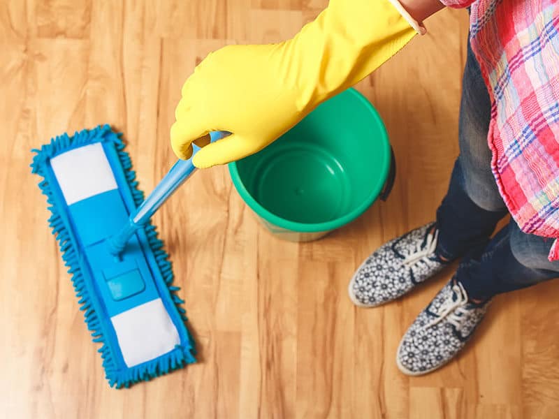 Microfiber Mop