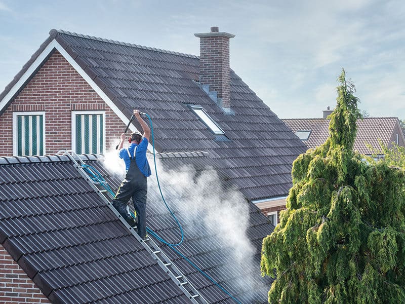 Roof Cleaners