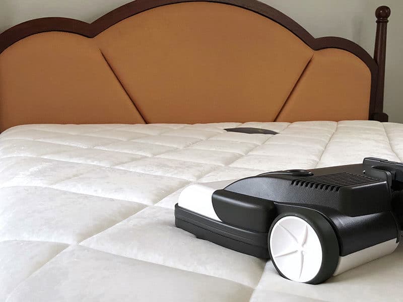 Vacuum for Bed Bugs 