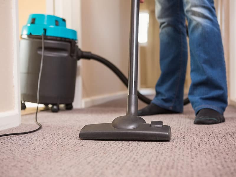 Vacuums for Area Rugs