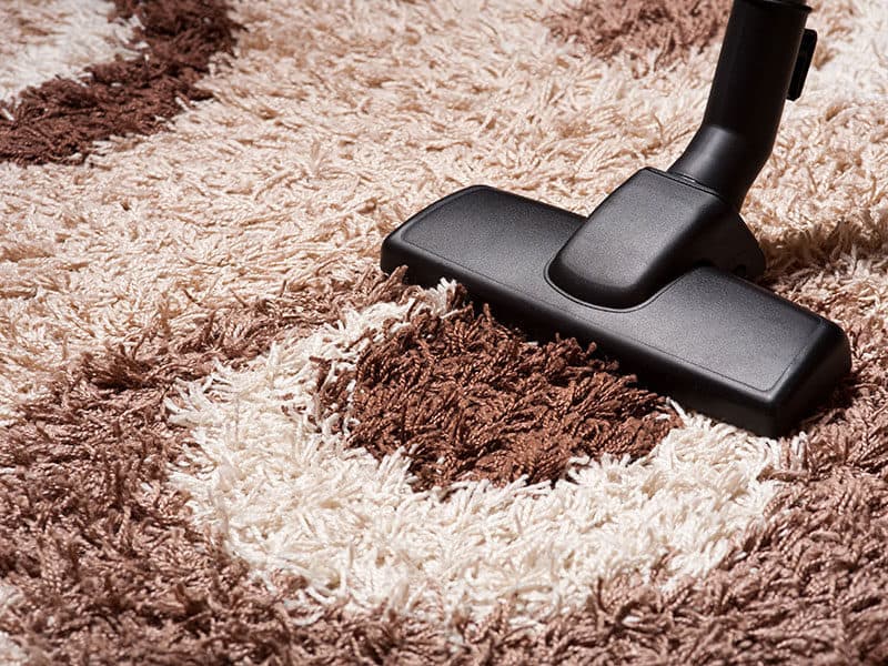 Vacuums for Shag Carpet 