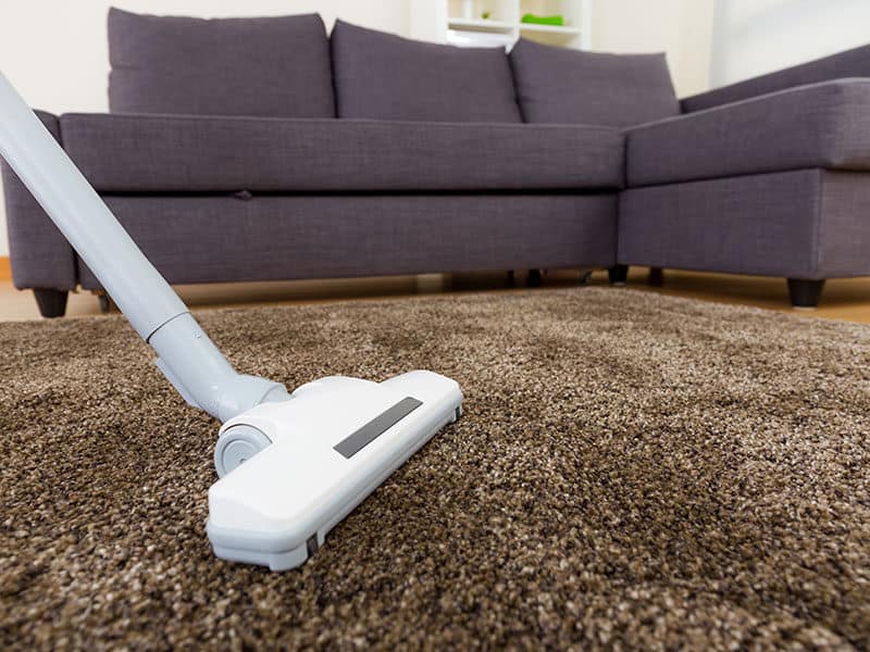 Vacuums for Shag Carpet 