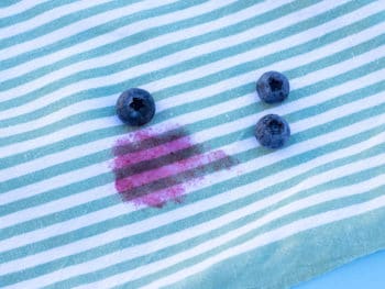 Blueberry Stain Remove