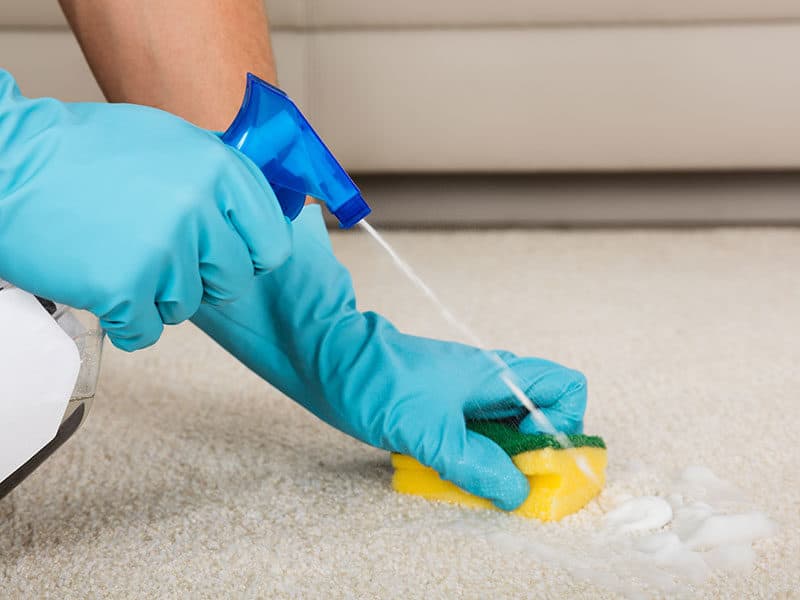 Cleaning Carpet Detergent