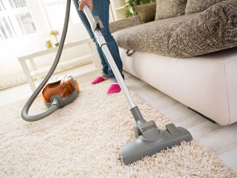 Cleaning Carpet in Living Room